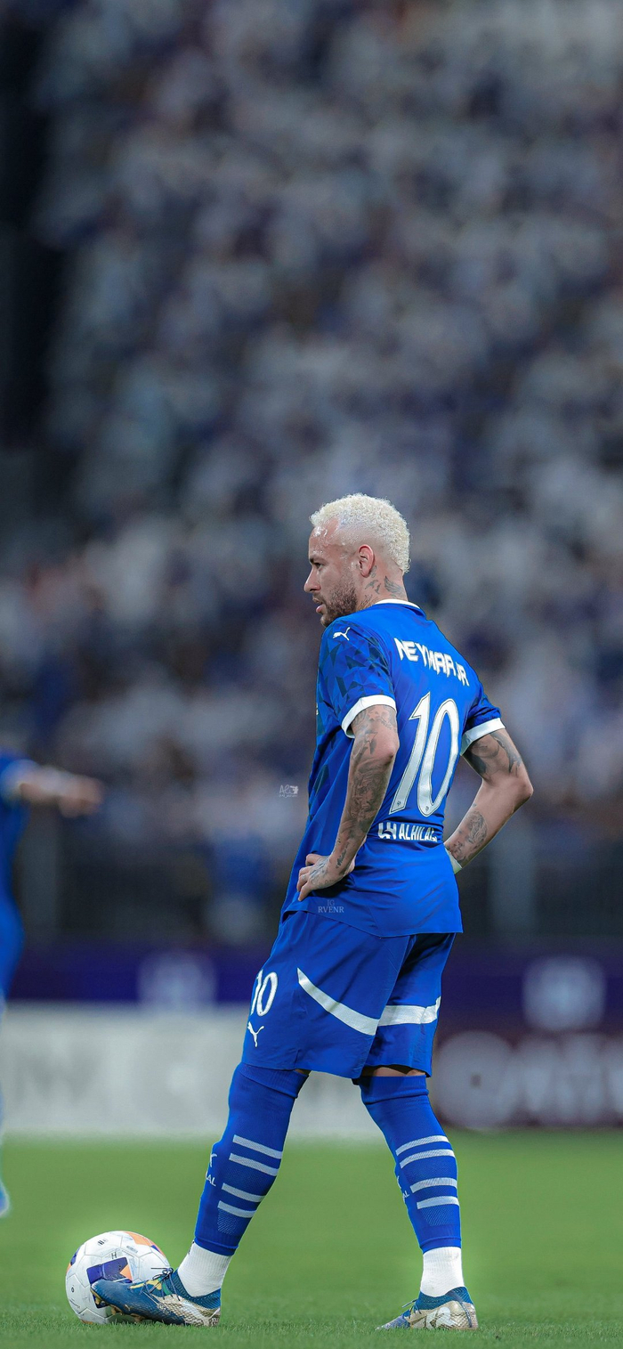 带来了更多 带来了更多