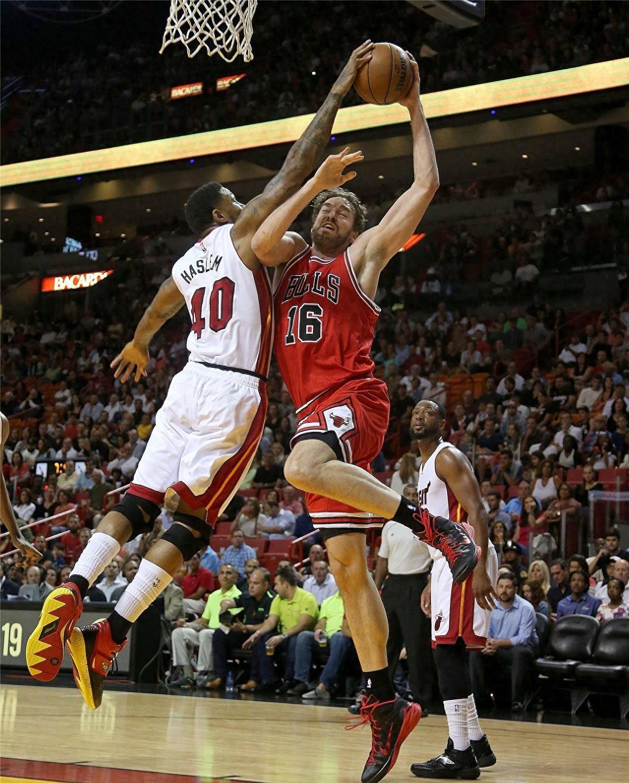 不同语言的 不同语言的